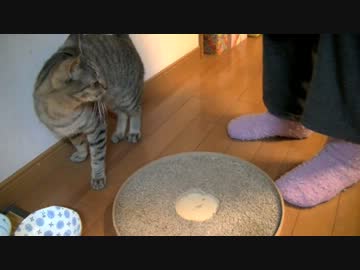 20130407　くるねこ大和　代表で前払い胡てちゅう