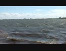 trim.RTuchD.MOV