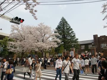 さくらさくら.mp4