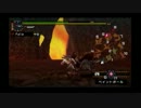 うさぎ好きの男のリハビリハンター日記【MHP2G】　18日目