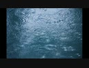 rain stops, good-bye　歌ってみた【クリス∀シロ】