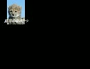 【ニコラップ】厨二の頃のやつ【点字ブロック】