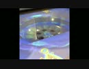 [アミーギョ]　エクストラジャックポット　[メダルゲーム]