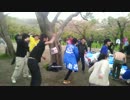 【2013.04.07】第7回関西イベンターお花見祭り