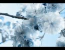 【SDVX公募落ち作品】LiFE Garden【オリジナル】