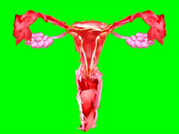 子宮と化した先輩GB