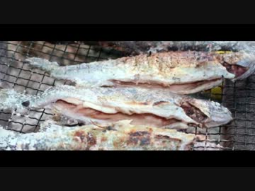 【デイキャンプ】おいでよ道志みち～最終章～