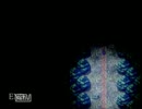 【魔女の家】ちょっと魔女ん家に遊びに行ってくるｗｗｗ【実況】partFINAL