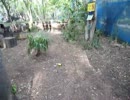 Tornadoグレネード　動作の様子