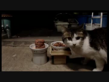 あまり私を怒らせないほうがいい