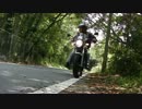 VTR250 ノーマル走行音