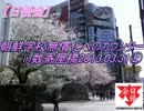 【日侵会】朝鮮学校無償化へのｶｳﾝﾀｰin数寄屋橋②2013.03.31
