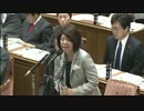 H25/4/10 衆院予算委集中審議・西川京子【従軍慰安婦の嘘！】