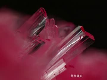 【俺様の鉱物フォルダ　自撮り編　超まとめ】