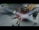 【MHF最後の宴】ぼうくんのニャわばり 太刀ソロ【ラージャン激固体】