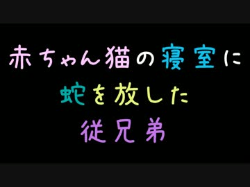 赤ちゃんネコの寝室に蛇を放した従兄弟【2ch】