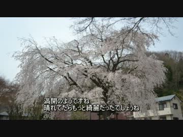 車載動画始めました。其の参