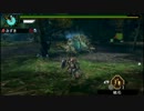 【MHP3】 月下の渓流に双雷は轟く 7'55