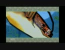 大神絶景版をマイペースに実況プレイpart22