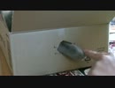 指ＶＳ猫　モイコちゃん