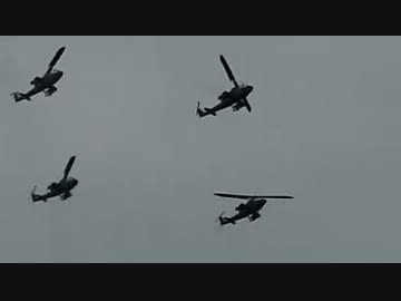 木更津にシーバス釣りに行ってみた♪【日記】