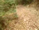 MTB02−ダウンヒル