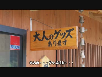 【VFR800】仕事をやめ・・・れなかったけど日本一周 part24【鹿児島→宮崎】