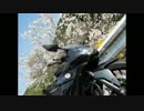 【Ninja250R】黒忍つーりんぐ Vol.2【道の駅龍神】