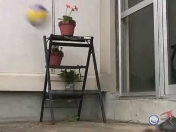 植木鉢くんを守るために本気を出したおじさん