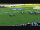 2013 TJスミスステークス - ブラックキャビア引退レース