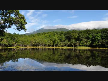 銀ゼルの北海道旅行記2012 Part10【知床観光編】あれ、熊じゃね？