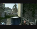 【COD:BO2】ネタプレイするならFFA行け