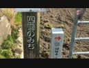 お城好きが行く四国遍路 その2