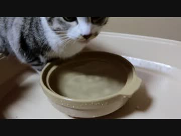 奴隷を指揮する者が鍋の後ろで叫んでいては、勝つ戦いも勝てんよ。