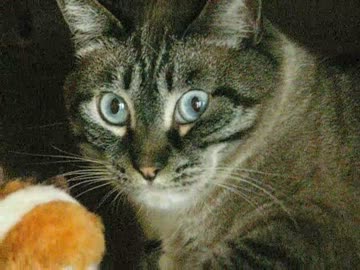 ジャンくんとの生活１年４ヶ月　なんか普通ですみません