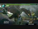 【MHP3】いっとく番外編【まったり実況】その9