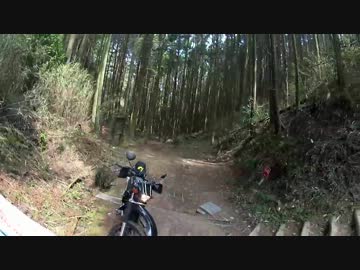 [黒鹿と] 伝説の腐道704号線に行ってみた。パート１