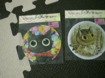 拾いねこ＠生後283/250日目part1　月音生誕250日～。