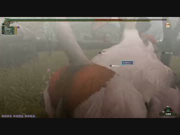 【MHF】会長がHC猿蟹合戦に乱入してみた