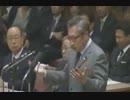 04.17 国家基本政策委員会合同審査会　渡辺喜美