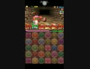 【パズドラ】五右衛門で勇者降臨