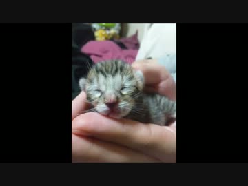 うちの娘が出産しました。