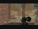 amarecco20130418-234619[000].mp4