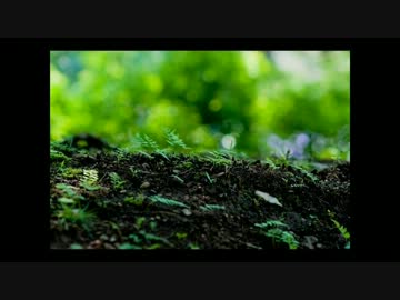 rain stops, good-bye　歌ってみた【つかよ】