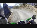 【1人で】名栗の林道を走ってみた