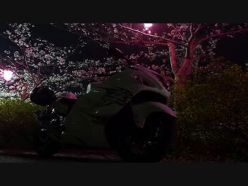 【二輪車載動画？】夜桜撮りに行ってきた