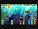 赤と緑と時々おかん!?/女2人でNewスーパーマリオブラザーズWii【実況16】