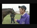 ウイニングポスト2013で日本の競馬を振り返る part 4