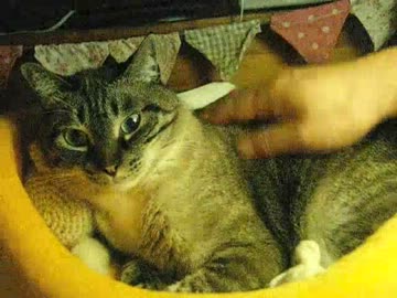 ジャンくん甘ガミに成功！