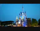 30周年当日、4月15日の東京ディズニーランドに行ったよ(^O^)